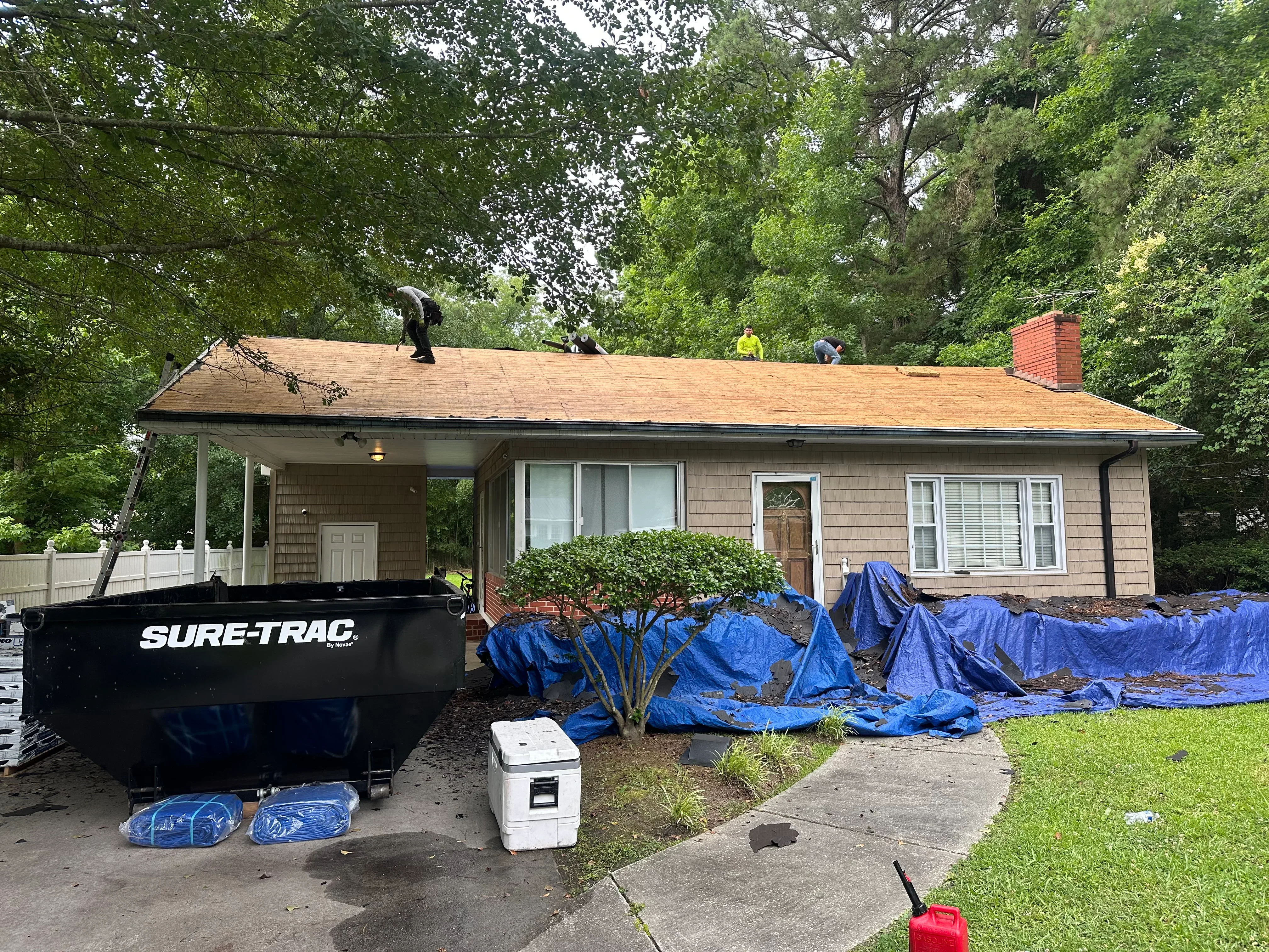 Roofers installing new asphalt shingles on residential home with protective tarps covering landscaping